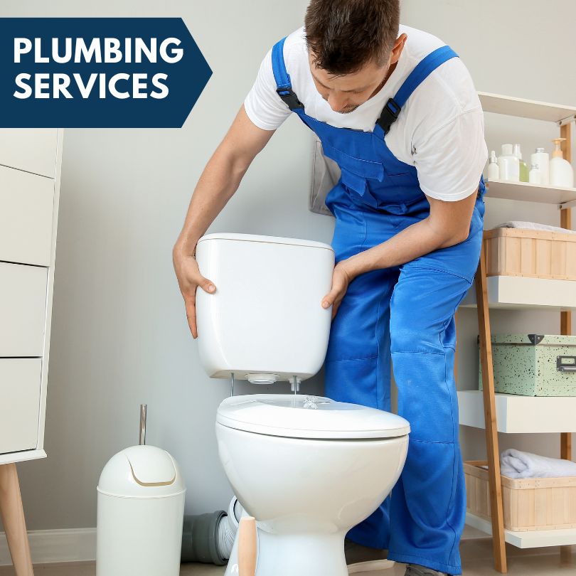 Plumbing Company in Red Valley, AZ